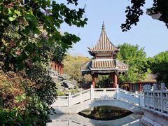 -顺峰山公园