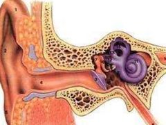 -AudioNova 海之声助听器峰力助听器索诺瓦自营店(北京店)