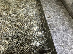-明谷行馆·温泉