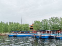 -白洋淀景区