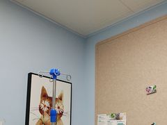 -纳吉亚猫专科动物诊疗中心(蒋宅口分院)