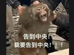 -金鮀岛潮州酒家