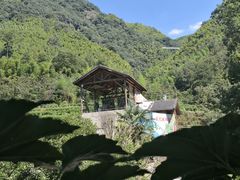 -藏龙百瀑风景区