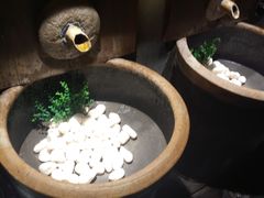 -淀里船宴(裕华东路店)