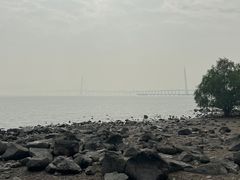 -深圳湾公园(南山区)