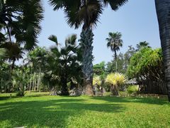 -中国科学院西双版纳热带植物园
