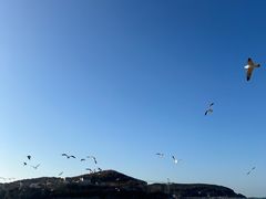 -威海国际海水浴场旅游区