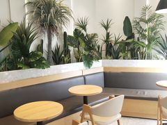 -CoCo都可(魔力月光店)