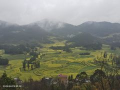 -牛街螺丝田
