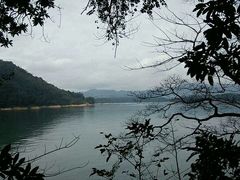 -广州市流溪河国家森林公园