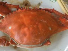 -春华海鲜城(广场西苑店)