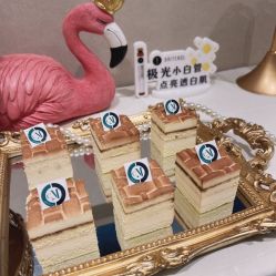 -北京楚诺医疗美容
