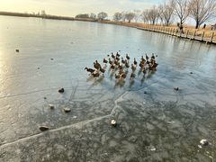 -野鸭湖国家湿地公园