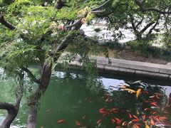 -苏州吴宫泛太平洋酒店