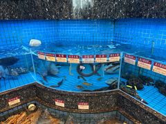 -协成海鲜火锅(情侣路店)