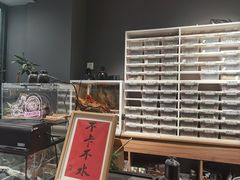 -酷以爬仙阁实体爬宠店·守宫·蜥蜴·专业繁育