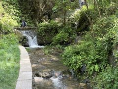 -石台牯牛降景区