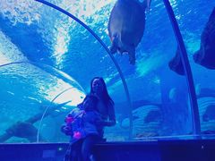 -多彩贵州城极地海洋世界