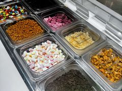 -Salud撒露欧洲冻酸奶(北苑上品店)
