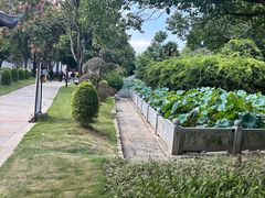 -丝绸小镇荻港古村