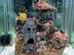 -太平洋海底世界