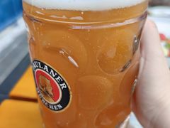 普拉那自酿黄啤-普拉那啤酒坊Paulaner(凯宾斯基饭店)