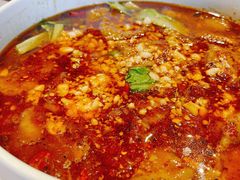 水煮牛肉-京味斋·北京烤鸭(华威桥北工大店)