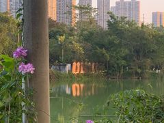 -广西壮族自治区药用植物园