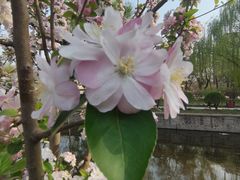 -元大都城垣遗址公园