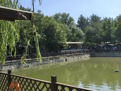 -尚庄度假村·庭台树下·户外烧烤·团建CS·轰趴营地(上庄水库店)
