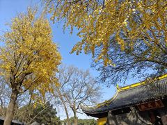-虞山风景区