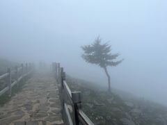 -灵山