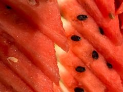 -上海小南国(国发店)