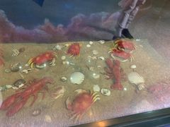 -大亚湾红树林城市湿地公园