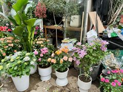 -金陵花卉交易市场