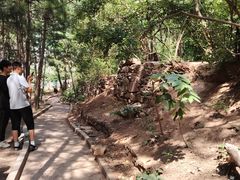 -山西通天峡景区