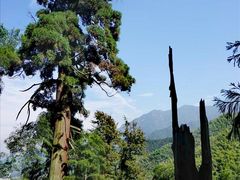 -仙霞关景区