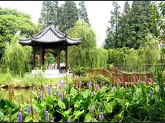 -瀛洲公园
