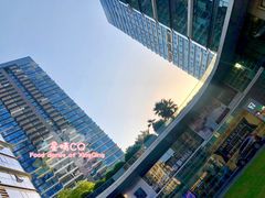 -棕榈MALL