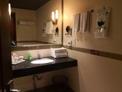 -雅安楠水阁温泉酒店