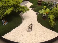 -太极·粤菜餐厅(亚运村鸟巢店)