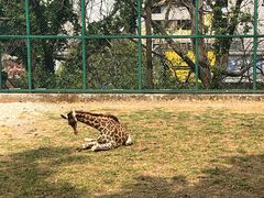 -昆明动物园