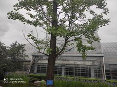 -南山植物园