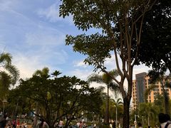 -宝安西湾红树林湿地公园