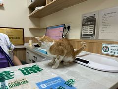 -瑞派宠物医院·24h·骨外科·皮肤科·全科宠物医疗转诊中心(沈阳浑南院)