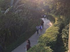 -重庆彩云湖湿地公园