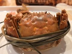 -杨氏青龙虾·羊蝎子(珠江路店)