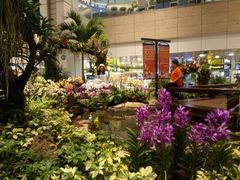 -Bengawan Solo(Changi Airport Terminal 2)