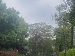 -顺峰山公园