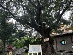-东江渔村·古典园林·30年粤菜老字号(太和店)